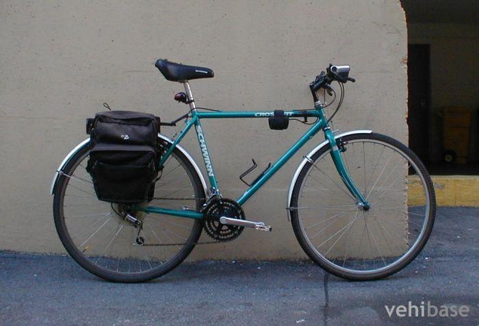 Schwinn Crossfit