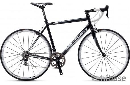 Schwinn Fastback Comp