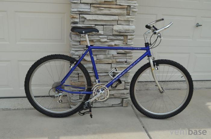 Schwinn Paramount R30