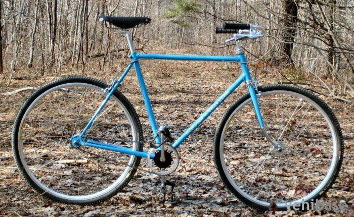 Schwinn Traveler
