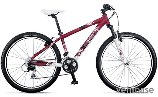 Scott Contessa 40