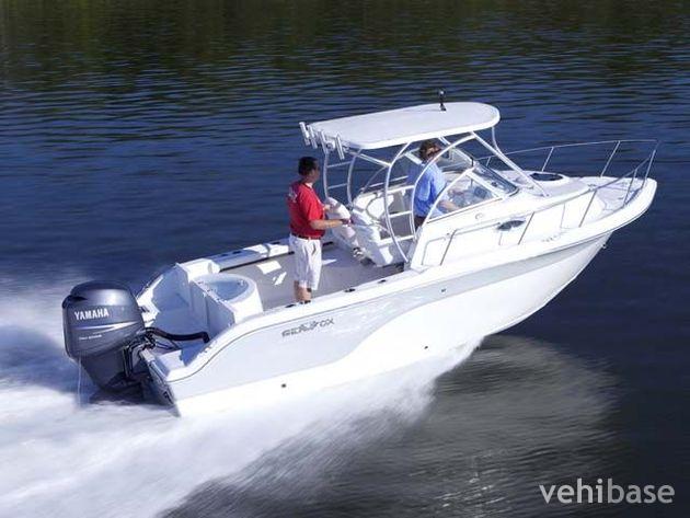 Sea Fox 216WA