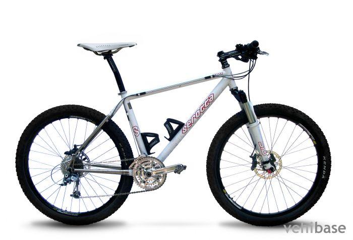 Serotta Ti Max