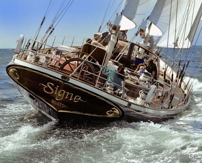 Signe