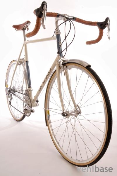 Singular Cycles Osprey