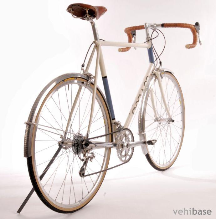 Singular Cycles Osprey