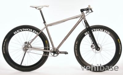 Singular Cycles Pegasus