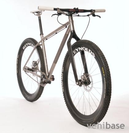 Singular Cycles Pegasus