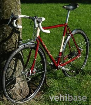 Singular Cycles Peregrine