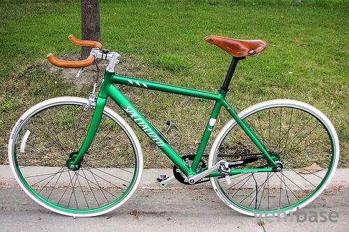 Specialized Seattle