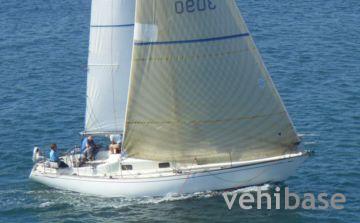 Swan 37