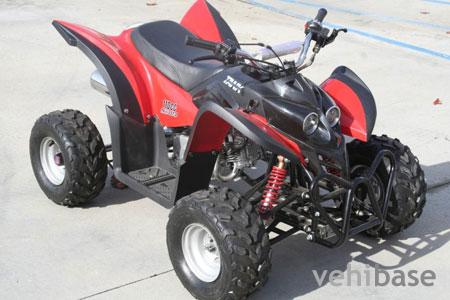 Tank Sports TTR 110
