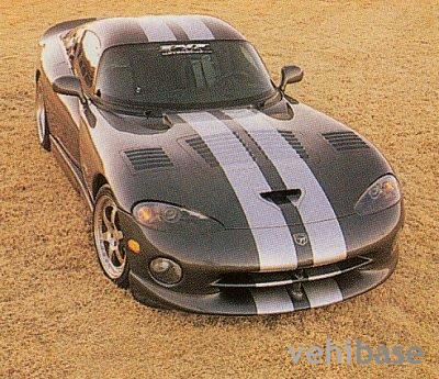 TNT King Snake Viper