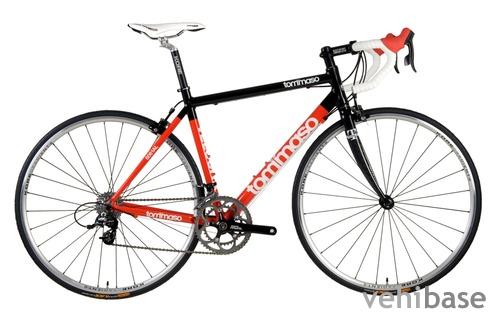 Tommaso Velocita