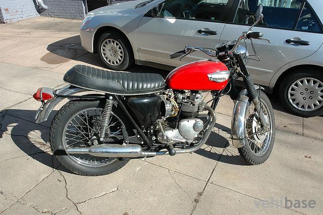 Triumph Tiger Daytona