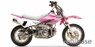 UM DTF 110