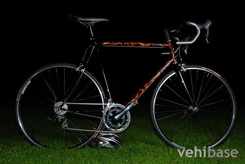 Vicious Cycles Electric Warrior