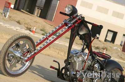 Von Dutch Stray