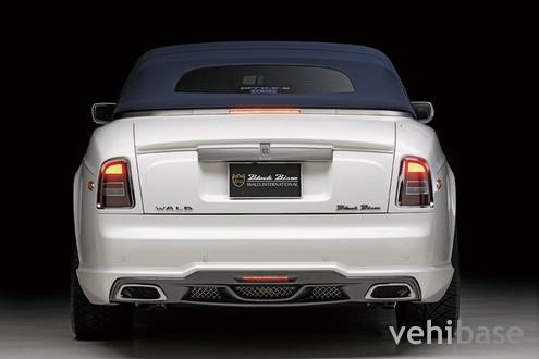 Wald Phantom Drophead