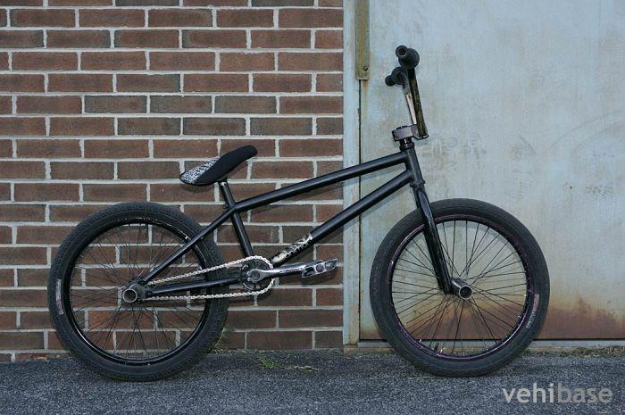 WeThePeople LoFi