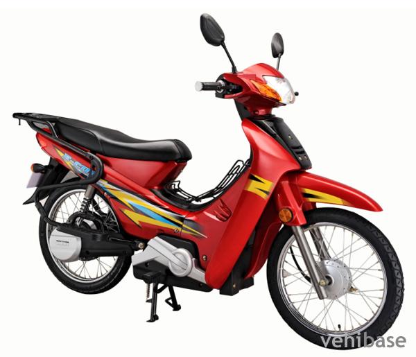Yangtze YZ1000DT