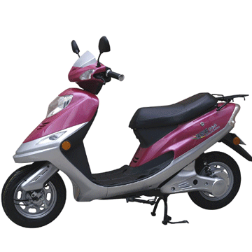Znen ZN0011